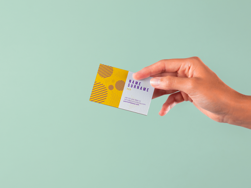 252073830_991567a5-22a0-453e-8bfd-cd81451364e9